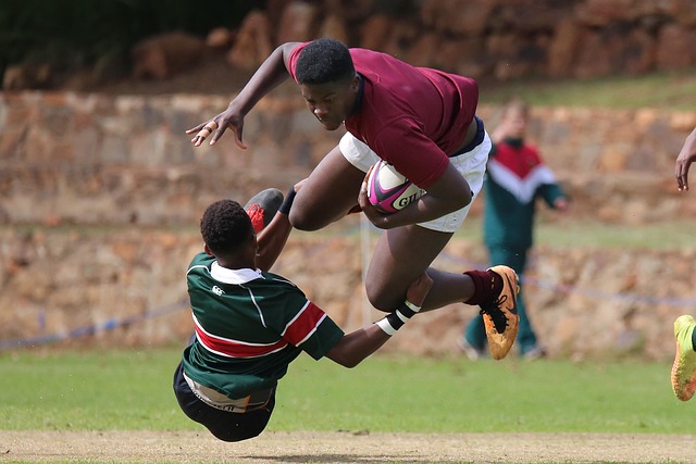 还能立即为 还能立即为